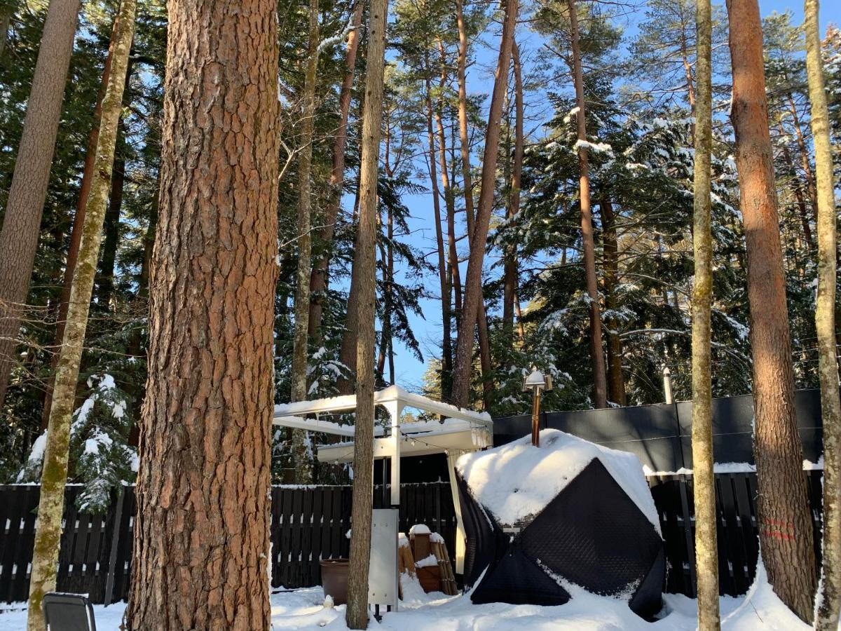 Fuji Fumoto Forest Hotspring ふもとの森温泉 Fujikawaguchiko Exterior foto
